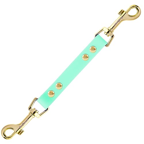 PetBonus Hundehalsband Clips, Wetterfeste Sicherungsband für Hundegeschirr, Robuste doppelendiger Leinenverbinder (Mintgrün) von PetBonus