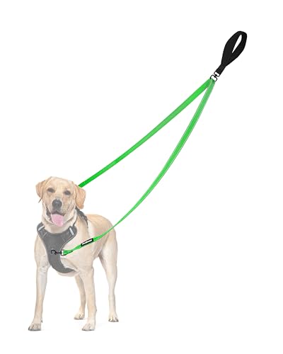 PetBonus No Pull Anti-Zieh Hundeleine, Keine Verwicklung Doppelleine für Anti-Zug Geschirr, Reflektierend Hundeleine zum Trainieren und Gassi gehen für große mittlere Hunde (Grasgrün) von PetBonus