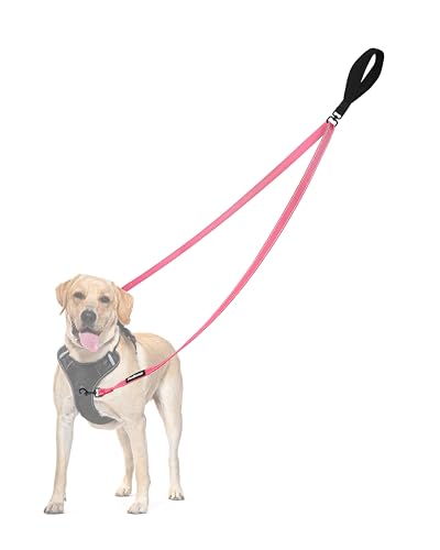 PetBonus No Pull Anti-Zieh Hundeleine, Keine Verwicklung Doppelleine für Anti-Zug Geschirr, Reflektierend Hundeleine zum Trainieren und Gassi gehen für große mittlere Hunde (Rosa) von PetBonus