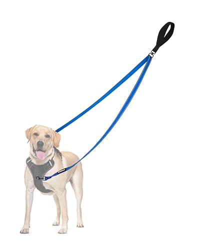 PetBonus No Pull Anti-Zieh Hundeleine, Keine Verwicklung Doppelleine für Anti-Zug Geschirr, Reflektierend Hundeleine zum Trainieren und Gassi gehen für große mittlere Hunde (Blau) von PetBonus
