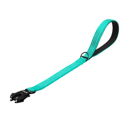 PetBonus Robuste Kurze Hundeleine 60cm, Nylon Kurzführer mit Schnellverschluss, gepolstertem Griff, Reflektierende Trainingsleine für große mittlere Hunde (Türkis) von PetBonus