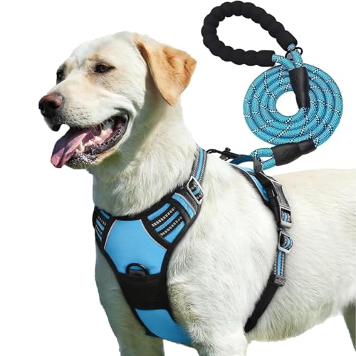PetBuds Verstellbares Anti-Ziehgeschirr für Hunde, mit kostenlosem 1,5 m langem Leinengeschirr für Hunde, atmungsaktives und langlebiges Hundegeschirr für alle Rassen, Blau, Größe XL PetBuds Verstellbares Anti-Ziehgeschirr für Hunde, mit kostenlosem 1,5 m langem Leinengeschirr für Hunde, atmungsaktives und langlebiges Hundegeschirr für alle Rassen, Blau, Größe XL von PetBuds