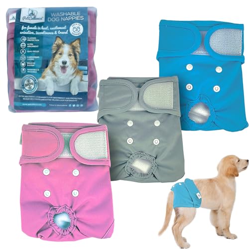 PetCellence Wiederverwendbare Hundewindeln Weibliche Medium - 3 Stück waschbare saugfähige Pads mit 3 Mikrofaserschichten für Haustier Welpe - Schnell Trocknende Hundesaison Hosen von PetCellence