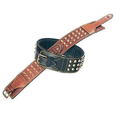 Petego La CINOPELCA Hundehalsband Weich gepolsterte Leder Doppelter Nieten Hundehalsband Petego La CINOPELCA Hundehalsband Weich gepolsterte Leder Doppelter Nieten Hundehalsband von Petego