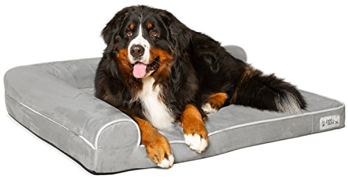 PetFusion BetterLounge Hundebett aus Memory-Schaum, mit wasserdichtem Innenfutter und abnehmbarem Bezug, Größe XL, 112 x 86 x 19 cm Ersatzbezüge und Decken sind ebenfalls erhältlich. PetFusion BetterLounge Hundebett aus Memory-Schaum, mit wasserdichtem Innenfutter und abnehmbarem Bezug, Größe XL, 112 x 86 x 19 cm Ersatzbezüge und Decken sind ebenfalls erhältlich. von PetFusion