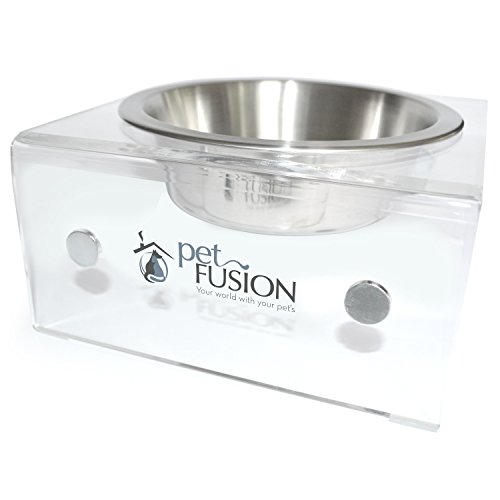 PetFusion Elevated SinglePod Magnetischer Hunde- und Katzenfütterer (Kurz, Single), 8 x 8 x 4 von PetFusion