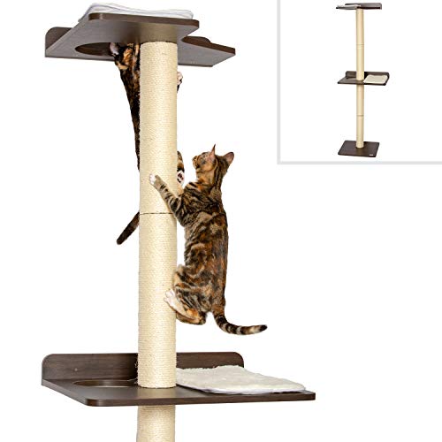 PetFusion Kratzbaum für Katzen, 61 x 52,8 x 195,1 cm (L x H), modernes Design, zur Wandmontage, Espresso-Finish von PetFusion