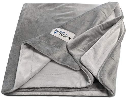 PetFusion Premium Große Hundedecke (53x41). Reversible Grey Micro Plush. [100% Polyester weich] von PetFusion