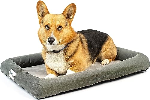 PetFusion {neu) Beruhigendes Hundebett für Welpen, mit Lavendelduft und Q-Max-Kühlung | wendbare innere Schlafunterlage | für alle Altersgruppen und für drinnen und draußen geeignet von PetFusion