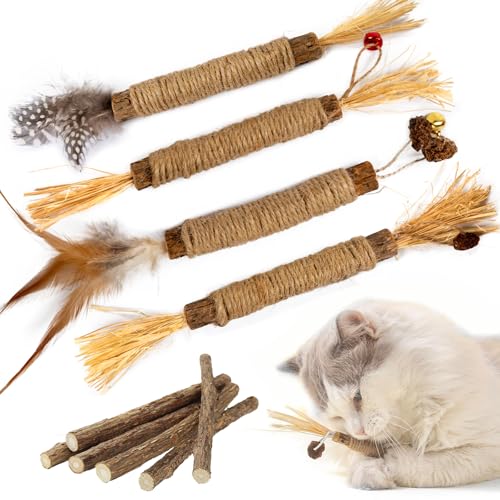 PetGens Katzenminze Sticks, Matatabi Stick Katze Kaustangen Katzenminze Spielzeug Kausticks Katzenspielzeug für Katzen Zahnpflege Natürlich Sicher PetGens Katzenminze Sticks, Matatabi Stick Katze Kaustangen Katzenminze Spielzeug Kausticks Katzenspielzeug für Katzen Zahnpflege Natürlich Sicher von PetGens