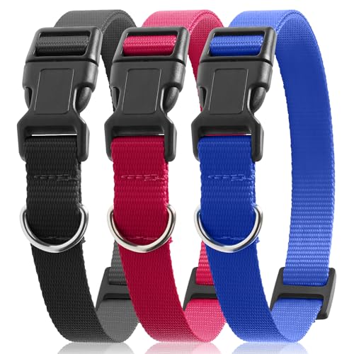 PetJoy Verstellbare Nylon-Hundehalsbänder, langlebiges D-Ring-Design für einfache Verbindung von Tag und Leine, schneller Schnappverschluss, Premium-Qualität, 3 Stück von PetJoy