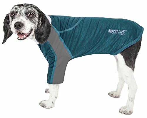 PetLife Active Chewitt Wagassy 4-Wege-Stretch-Performance Langarmshirt für Hunde, Größe M, Blaugrün von Pet Life