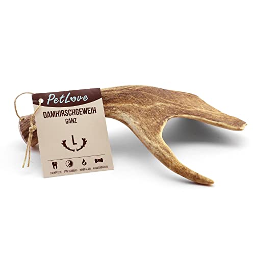 PetLove Damhirsch Geweihstange für Hunde & Welpen • Hirschgeweih Hund • Natürliches Geweih • Kauspielzeug Größe L (151-225g) von PetLove