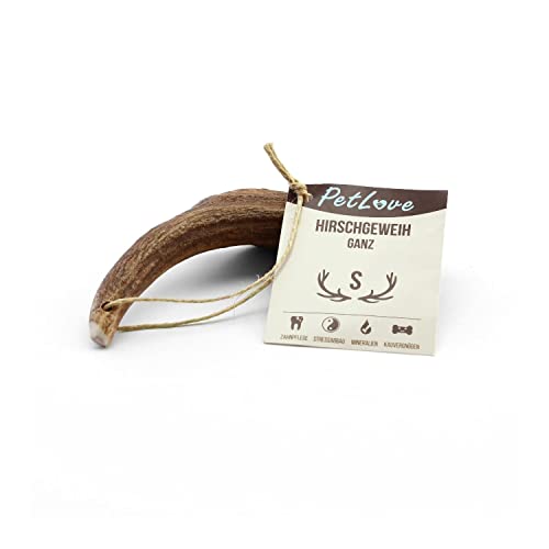 PetLove Geweihstange ganz für Hunde & Welpen • Hirschgeweih Hund • Natürliches Geweih • Kauspielzeug Größe S (50-75g) von PetLove