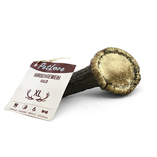 PetLove Hirschgeweih Halb Hund (XL 121-160g) • Geweih für Hunde • Abwurfstangen Geweihsnack • Kauknochen für langes Kauen von PetLove