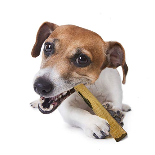 PetLove Kauholz für Hunde aus Ebenholz • Holzknochen als Hundespielzeug • Zahnpflege & Kauspielzeug für Hund • Größe L (200-320g) • Für große Hunde von PetLove