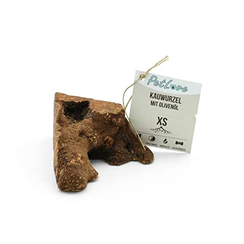 PetLove Kauwurzel für Hunde mit Olivenöl • 100% natürliches Kauholz • Kauknochen mit Mineralien • Kauspielzeug Hund • Größe: XS (60-150g) • Für Welpen von PetLove