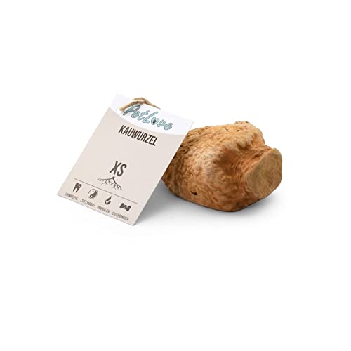 PetLove Kauwurzel für Hunde aus Baumheide • Natürliches Kauspielzeug hypoallergen • Kauknochen ohne Zusätze, ohne Kalorien, ohne Chemie • Größe: XS (50-124g) • Für Welpen PetLove Kauwurzel für Hunde aus Baumheide • Natürliches Kauspielzeug hypoallergen • Kauknochen ohne Zusätze, ohne Kalorien, ohne Chemie • Größe: XS (50-124g) • Für Welpen von PetLove