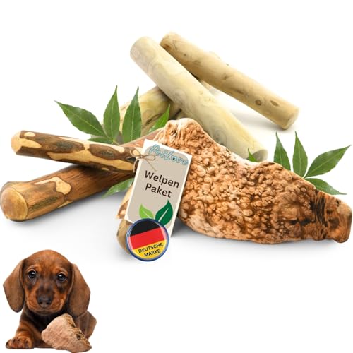 PetLove Welpenspielzeug Set – 3 Kauhölzer für Hunde (Kaffeeholz, Olivenholz & Kauwurzel) | Natürliches Kauspielzeug für Welpen & kleine Hunde | Langlebiger Kauknochen zur Beschäftigung & Zahnpflege von PetLove