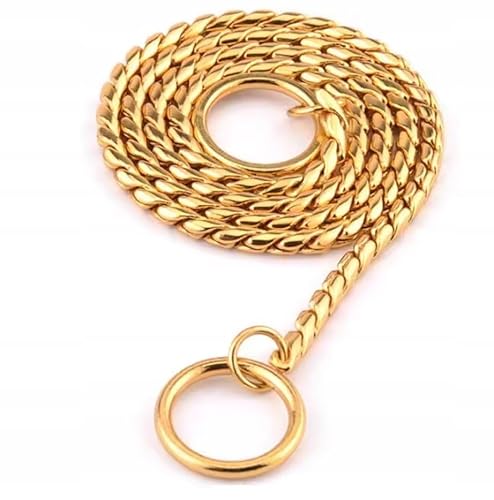 PetMix - Kettenhalsband Hund 4mm Zugstopp 50cm - Hundehalsband Silberne Hundetrainingshalsung - Trainingshalsband Hund - Robuste Metall-Kette - Effektive Kontrolle (Gold, 4mm*50 cm) von PetMix