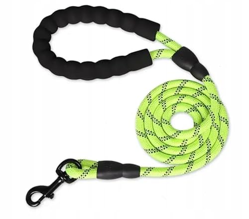 Petmix - Reflektierende Hundeleine 1,5 m – Trainingsleine aus Nylon mit gepolstertem Griff – Führleine für kleine, mittlere und große Hunde - Retrieverleine - Sicherheitsleine Hunde (Hellgrün, 1,5m) von PetMix