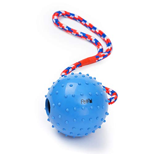 PetPäl Ball mit Seil Naturkautschuk - Wurfball Hundespiel-Ball mit Schnur - Hundeball Ø 7cm - Bälle Spielzeug am Seil für Hunde - Kauspielzeug aus Naturgummi - Hunde-Spielzeug von PetPäl