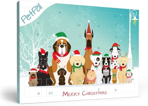 PetPäl Hunde Adventskalender 2025 - Ohne Getreide, Gluten, Zucker, Salz - DER Gesunde und Leckere Snack, Leckerli zu Weihnachten für Deinen Hund - Natürliche Hundekekse zum Advent - Made in Germany PetPäl Hunde Adventskalender 2025 - Ohne Getreide, Gluten, Zucker, Salz - DER Gesunde und Leckere Snack, Leckerli zu Weihnachten für Deinen Hund - Natürliche Hundekekse zum Advent - Made in Germany von PetPäl