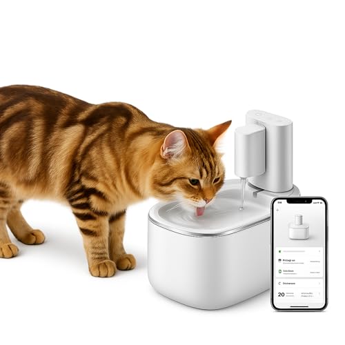 Wasserbrunnen für Katzen, kabellos & leise | integrierter Wasserbrunnen für Katzen für eine gesunde Flüssigkeitszufuhr | Pumpe lebenslang | elegantes Design Wasserbrunnen für Katzen, kabellos & leise | integrierter Wasserbrunnen für Katzen für eine gesunde Flüssigkeitszufuhr | Pumpe lebenslang | elegantes Design von PetPalace