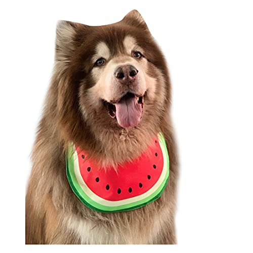 Haustier Hund Lätzchen Hunde-Bandana Cartoon Wassermelone Hundehalstuch Hundekostüm Zubehör Sommer Wasserdicht Pet Lätzchen für Medium & Große Hunde von PetPhindU