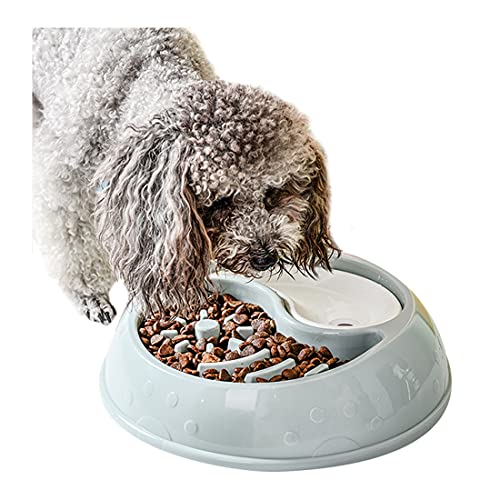 Langsam Feeder Hundenapf Fun Bowl für Hunde Langsam Essen Hundenapf Interactive Aufblasen Stop-hundenapf Nicht Beleg Gesundes Design Haustier-schüssel für Medium Small Pet Dogs von PetPhindU