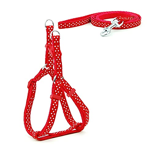 PetPhindU Haustier-hundegeschirr Leine Gesetzt Kleine Punkte Hundegeschirr Hundeleine für Katzen und Mini Kleine Hunde Welpen Hunde Leichte Harness von PetPhindU
