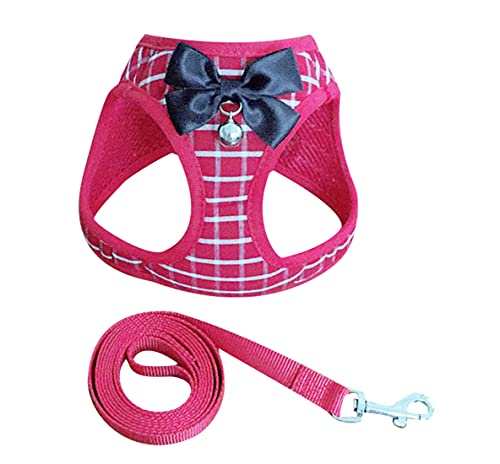 PetPhindU Niedlich Schleife Mesh-hundegeschirr Aus Atmungsaktive Softgeschirr mit Leine Netter Hundegeschirr Welpengeschirr Leine Gesetzt PetPhindU Niedlich Schleife Mesh-hundegeschirr Aus Atmungsaktive Softgeschirr mit Leine Netter Hundegeschirr Welpengeschirr Leine Gesetzt von PetPhindU