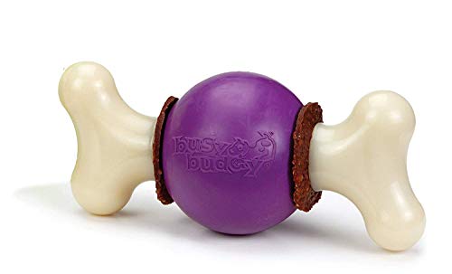 PetSafe Busy Buddy Bouncy Bone Kauspielzeug für Hunde, Hüpfknochen mit Snack-Ringen aus Rohhaut, Spühlmaschinenfest, Größe M von PetSafe