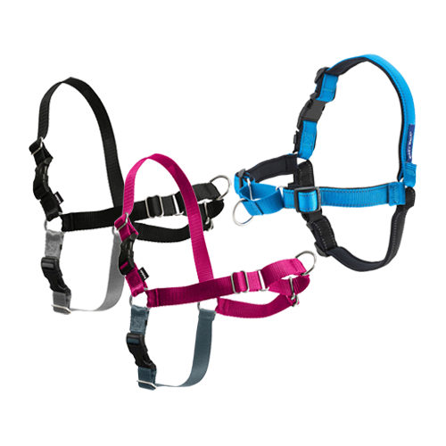 Easywalk Hundegeschirr Deluxe - Blau - M / L von PetSafe