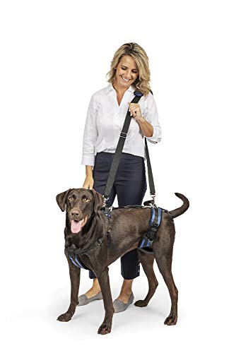 PetSafe CareLift Stützgeschirr – Ganzkörper-Hundegeschirr mit Griff und Schulterschlinge – ideal für ältere Hunde, Hüftdysplasie, ACL-Operationen – entwickelt, um ihnen zu helfen, verstellbar – groß von PetSafe