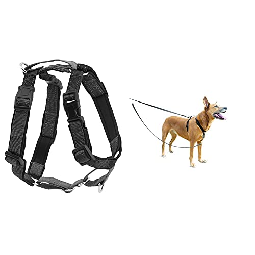 PetSafe 3-in-1 Geschirr, Hundegeschirr mit Rückhaltegurt, Reduziert Ziehen und Druck auf die Kehle, Größe S, Schwarz & Anti-Zieh Hundeleine, Kompatibel mit PetSafe 3-in-1-Geschirr, 1,2 m, Grau PetSafe 3-in-1 Geschirr, Hundegeschirr mit Rückhaltegurt, Reduziert Ziehen und Druck auf die Kehle, Größe S, Schwarz & Anti-Zieh Hundeleine, Kompatibel mit PetSafe 3-in-1-Geschirr, 1,2 m, Grau von PetSafe
