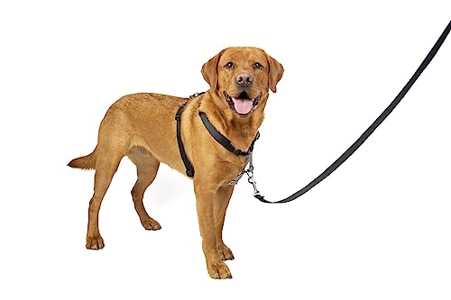 PetSafe 3-in-1-Geschirr und Rückhaltegurt für Hunde, Mit Anti-Zieh-Ring und Rückhaltegurt fürs Auto, Größe L, Schwarz von PetSafe