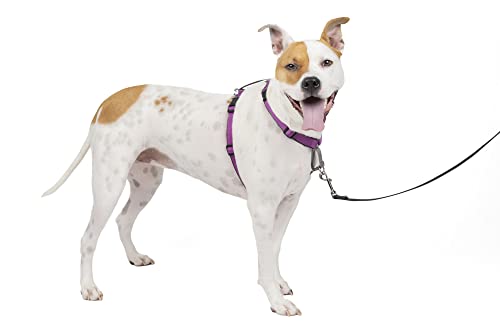 PetSafe 3-in-1 Hundegeschirr, Anti-Zieh, Hundegeschirr für Autogurt, Hundegeschirr Auto, Anti-Zug Hundegeschirr, Reflektoren, Geschirrgriff, Größe M ; schwarz, blau, lila PetSafe 3-in-1 Hundegeschirr, Anti-Zieh, Hundegeschirr für Autogurt, Hundegeschirr Auto, Anti-Zug Hundegeschirr, Reflektoren, Geschirrgriff, Größe M ; schwarz, blau, lila von PetSafe