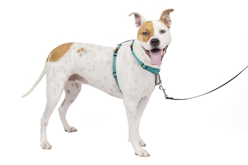 PetSafe 3-in-1 Hundegeschirr, Anti-Zieh, Hundegeschirr für Autogurt, Hundegeschirr Auto, Anti-Zug Hundegeschirr, Reflektoren, Geschirrgriff, Größe M ; schwarz, blau, lila PetSafe 3-in-1 Hundegeschirr, Anti-Zieh, Hundegeschirr für Autogurt, Hundegeschirr Auto, Anti-Zug Hundegeschirr, Reflektoren, Geschirrgriff, Größe M ; schwarz, blau, lila von PetSafe