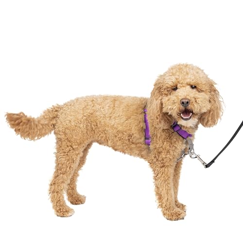 PetSafe 3-in-1 Hundegeschirr, Anti-Zieh, Hundegeschirr für Autogurt, Hundegeschirr Auto, Anti-Zug Hundegeschirr, Reflektoren, Geschirrgriff, Größe S ; schwarz, blau, lila PetSafe 3-in-1 Hundegeschirr, Anti-Zieh, Hundegeschirr für Autogurt, Hundegeschirr Auto, Anti-Zug Hundegeschirr, Reflektoren, Geschirrgriff, Größe S ; schwarz, blau, lila von PetSafe