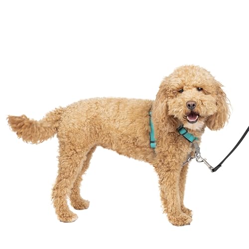 PetSafe 3-in-1 Hundegeschirr, Anti-Zieh, Hundegeschirr für Autogurt, Hundegeschirr Auto, Anti-Zug Hundegeschirr, Reflektoren, Geschirrgriff, Größe S ; schwarz, blau, lila PetSafe 3-in-1 Hundegeschirr, Anti-Zieh, Hundegeschirr für Autogurt, Hundegeschirr Auto, Anti-Zug Hundegeschirr, Reflektoren, Geschirrgriff, Größe S ; schwarz, blau, lila von PetSafe