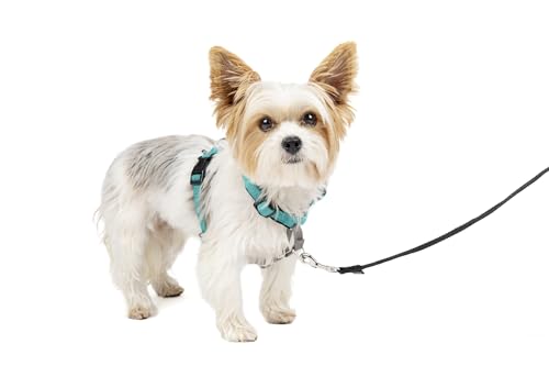 PetSafe 3-in-1 Hundegeschirr, Anti-Zieh, Hundegeschirr für Autogurt, Hundegeschirr Auto, Anti-Zug Hundegeschirr, Reflektoren, Geschirrgriff, Größe XS ; schwarz, blau, lila PetSafe 3-in-1 Hundegeschirr, Anti-Zieh, Hundegeschirr für Autogurt, Hundegeschirr Auto, Anti-Zug Hundegeschirr, Reflektoren, Geschirrgriff, Größe XS ; schwarz, blau, lila von PetSafe