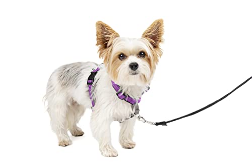 PetSafe 3-in-1 Hundegeschirr, Anti-Zieh, Hundegeschirr für Autogurt, Hundegeschirr Auto, Anti-Zug Hundegeschirr, Reflektoren, Geschirrgriff, Größe XS ; schwarz, blau, lila PetSafe 3-in-1 Hundegeschirr, Anti-Zieh, Hundegeschirr für Autogurt, Hundegeschirr Auto, Anti-Zug Hundegeschirr, Reflektoren, Geschirrgriff, Größe XS ; schwarz, blau, lila von PetSafe