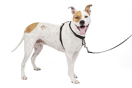 PetSafe 3-in-1 Geschirr, Hundegeschirr mit Rückhaltegurt, Reduziert Ziehen und Druck auf die Kehle, Größe M, Schwarz von PetSafe