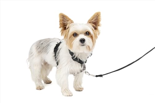 PetSafe 3-in-1-Hundegeschirr für kleine Hunde – Spaziergänge, Zug oder Reisen – hilft Haustieren beim Ziehen auf Spaziergängen – Sicherheitsgurtschlaufe dient auch als Schnellzugriffsgriff, von PetSafe