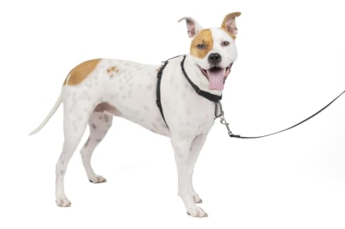 PetSafe 3in1 Harness, from The Makers of The Easy Walk Harness, Fully Adjustable No-Pull Dog Harness, Medium PetSafe 3in1 Harness, from The Makers of The Easy Walk Harness, Fully Adjustable No-Pull Dog Harness, Medium von PetSafe
