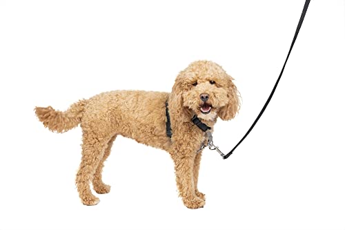 PetSafe 3in1 Harness, from The Makers of The Easy Walk Harness, Fully Adjustable No-Pull Dog Harness von PetSafe