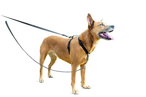 PetSafe Anti-Zieh Hundeleine, Kompatibel mit PetSafe 3-in-1-Geschirr, 1,2 m Länge, Aus reflektierendem Nylon, Grau von PetSafe