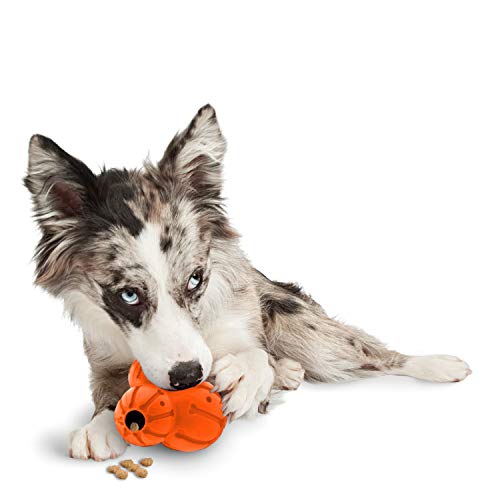 PetSafe Busy Buddy Barnacle Hundespielzeug, Kauspielzeug mit drei befüllbaren Leckerli-Kammern, Anpassbare Snackausgabe, Größe M von PetSafe