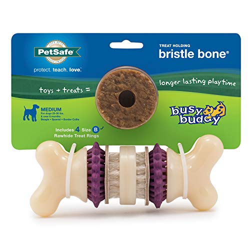 PetSafe Busy Buddy Borsten-Knochen – Leckerli-Ringe im Lieferumfang enthalten – Borsten reinigen die Zähne während des Gebrauchs – duftet für verbesserte sensorische Stimulation – streng getestete Inhaltsstoffe – für aggressive Kauer – Medium PetSafe Busy Buddy Borsten-Knochen – Leckerli-Ringe im Lieferumfang enthalten – Borsten reinigen die Zähne während des Gebrauchs – duftet für verbesserte sensorische Stimulation – streng getestete Inhaltsstoffe – für aggressive Kauer – Medium von PetSafe